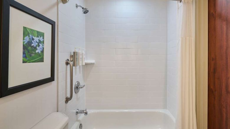 <b>Hilton Garden Inn Anchorage Room</b>. Images powered by <a href="https://iceportal.shijigroup.com/" title="IcePortal" target="_blank">IcePortal</a>.