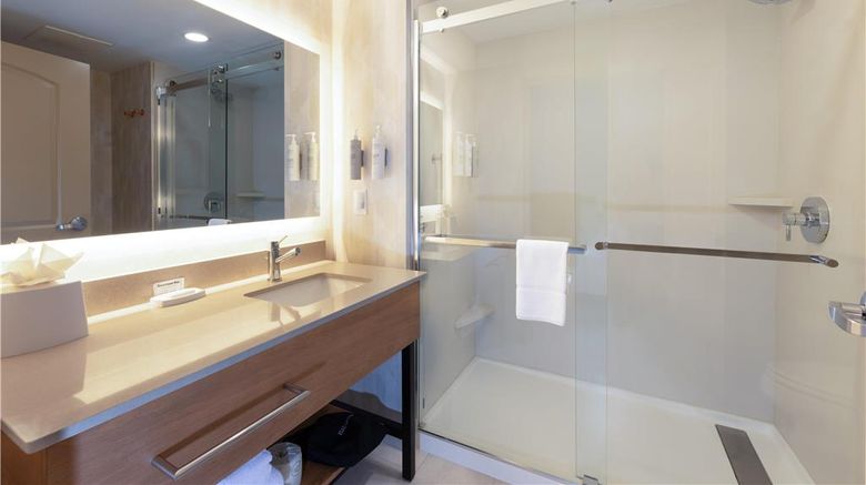 <b>Hampton Inn Lawrenceville Duluth Room</b>. Images powered by <a href="https://iceportal.shijigroup.com/" title="IcePortal" target="_blank">IcePortal</a>.