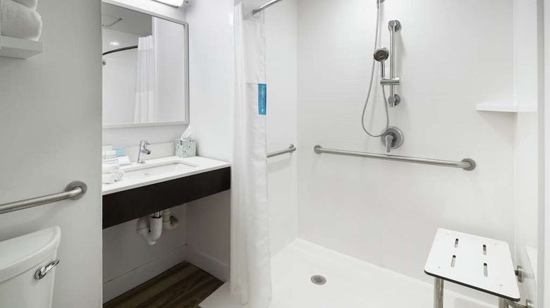 <b>Hampton Inn & Suites Atlanta Downtown Room</b>. Images powered by <a href="https://iceportal.shijigroup.com/" title="IcePortal" target="_blank">IcePortal</a>.