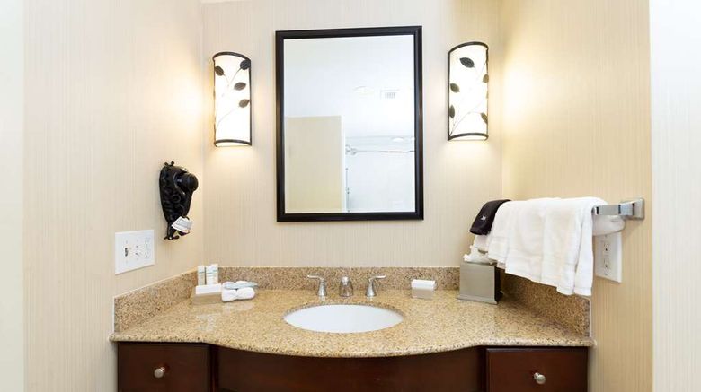 <b>Homewood Suites Lawrenceville Duluth Room</b>. Images powered by <a href="https://iceportal.shijigroup.com/" title="IcePortal" target="_blank">IcePortal</a>.
