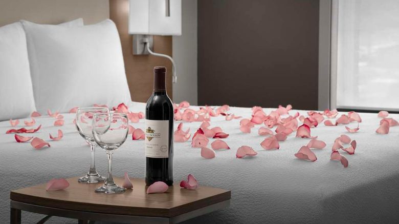 <b>Hilton Garden Inn Johns Creek Room</b>. Images powered by <a href="https://iceportal.shijigroup.com/" title="IcePortal" target="_blank">IcePortal</a>.