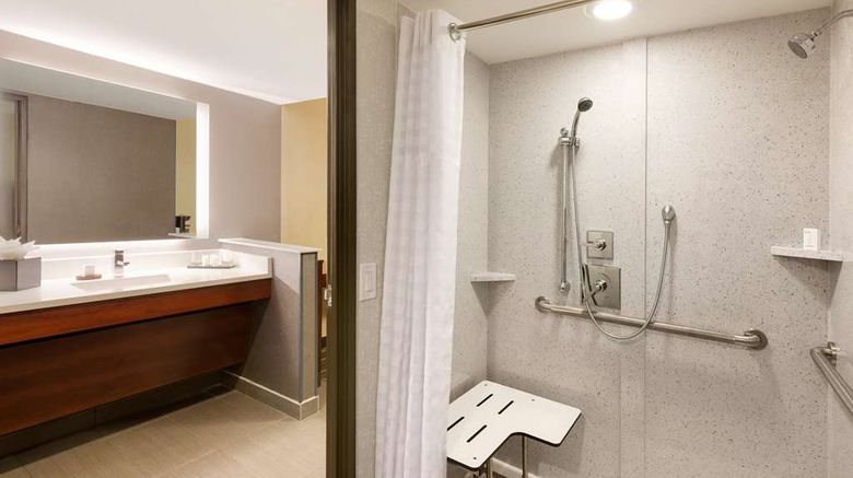 <b>Embassy Suites Atlanta - Airport Room</b>. Images powered by <a href="https://iceportal.shijigroup.com/" title="IcePortal" target="_blank">IcePortal</a>.