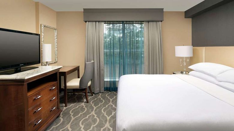 <b>Embassy Suites Atlanta - Airport Room</b>. Images powered by <a href="https://iceportal.shijigroup.com/" title="IcePortal" target="_blank">IcePortal</a>.