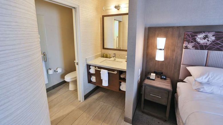 <b>DoubleTree Alpharetta Room</b>. Images powered by <a href="https://iceportal.shijigroup.com/" title="IcePortal" target="_blank">IcePortal</a>.