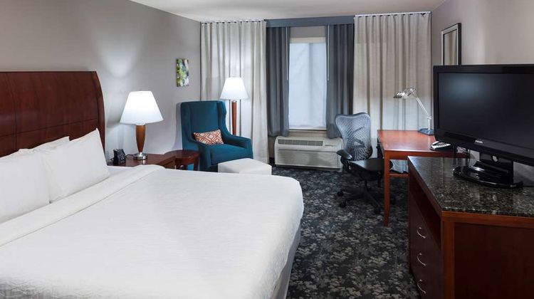 Hilton Garden Inn Austin North Room