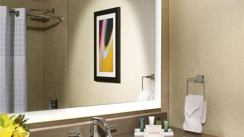 <b>Hilton Austin Room</b>. Images powered by <a href="https://iceportal.shijigroup.com/" title="IcePortal" target="_blank">IcePortal</a>.
