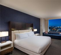Hilton Austin Room