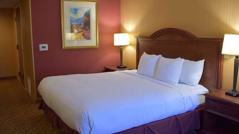 <b>DoubleTree by Hilton Asheville-Biltmore Room</b>. Images powered by <a href="https://iceportal.shijigroup.com/" title="IcePortal" target="_blank">IcePortal</a>.