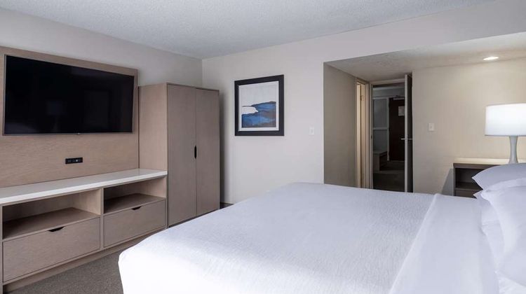 Embassy Suites Baltimore North Other