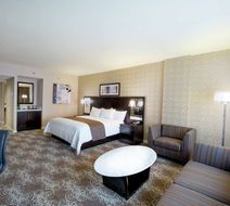 DoubleTree by Hilton Binghamton Room
