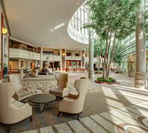 Hilton Boston Logan Airport Lobby