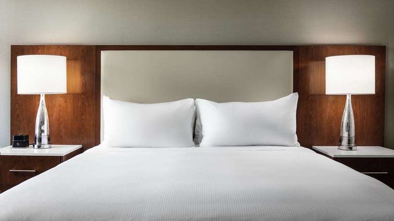 <b>Hilton Boston Logan Airport Room</b>. Images powered by <a href="https://iceportal.shijigroup.com/" title="IcePortal" target="_blank">IcePortal</a>.