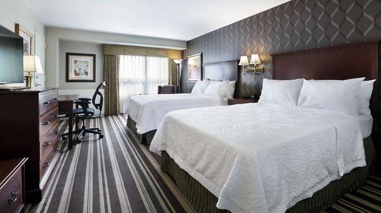 Hampton Inn Boston-Natick Room