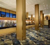 Hilton Chicago O'Hare Airport Lobby