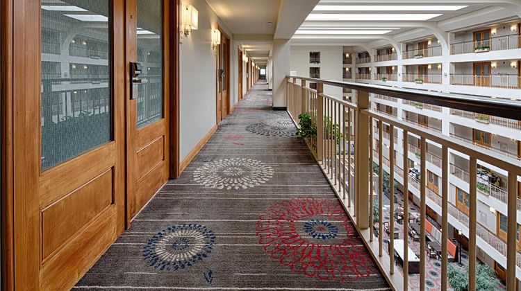 Embassy Suites Chicago O'Hare/Rosemont Other