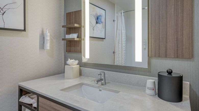 <b>Hilton Garden Inn Clarksburg Bridgeport Room</b>. Images powered by <a href="https://iceportal.shijigroup.com/" title="IcePortal" target="_blank">IcePortal</a>.