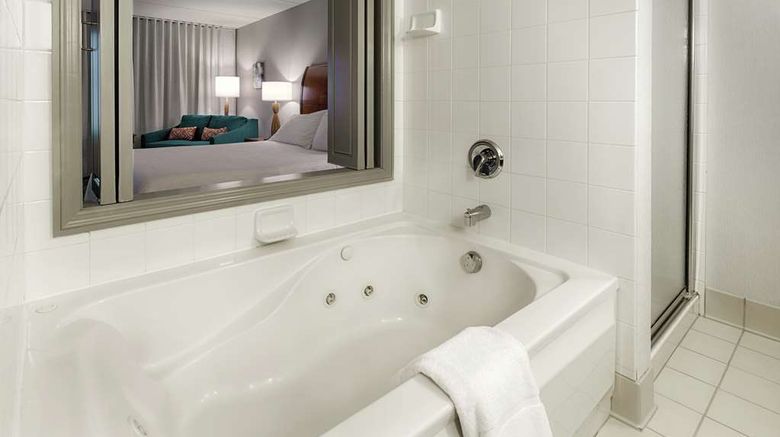 <b>Hilton Garden Inn Cleveland/Twinsburg Room</b>. Images powered by <a href="https://iceportal.shijigroup.com/" title="IcePortal" target="_blank">IcePortal</a>.
