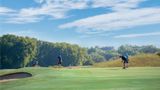 Embassy Suites Charlotte Golf Resort Golf