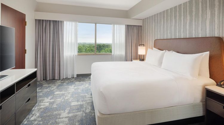 Embassy Suites Charlotte Golf Resort Room