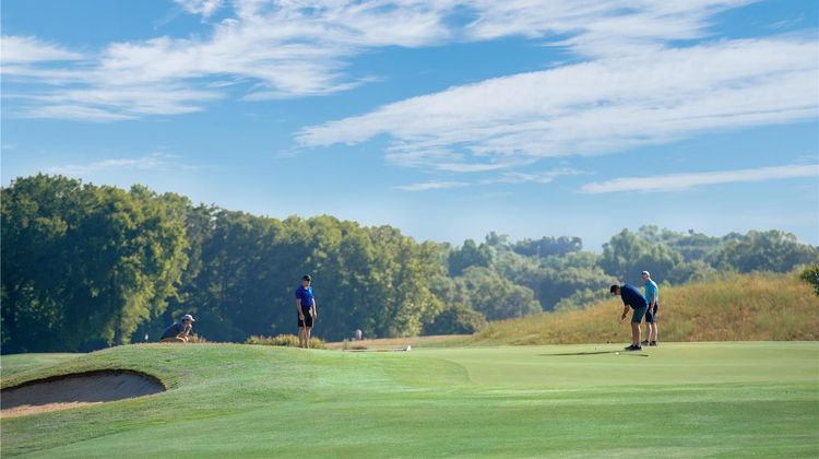 Embassy Suites Charlotte Golf Resort Golf