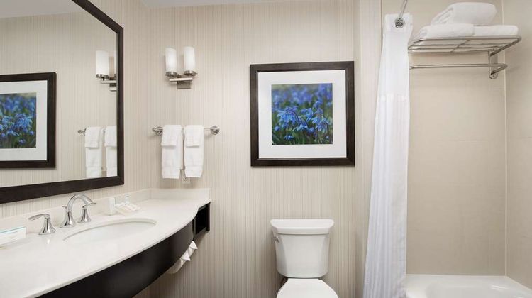 Hilton Garden Inn Charlotte Airport Room