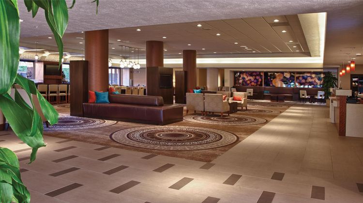 Hilton Concord Lobby