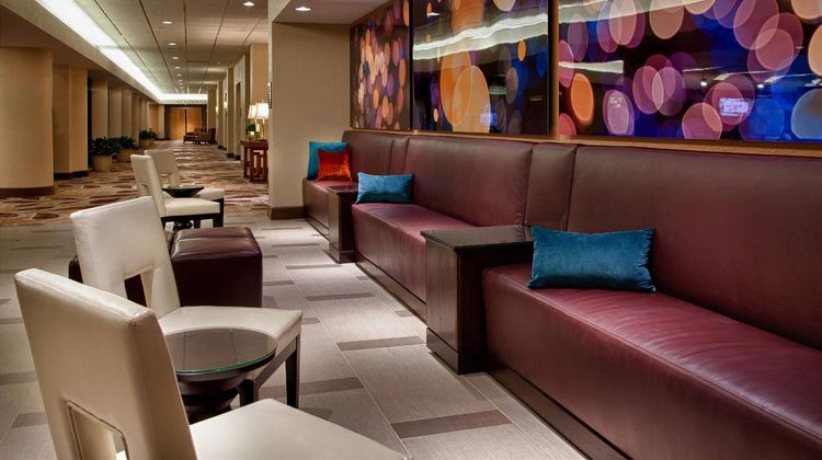 Hilton Concord Lobby