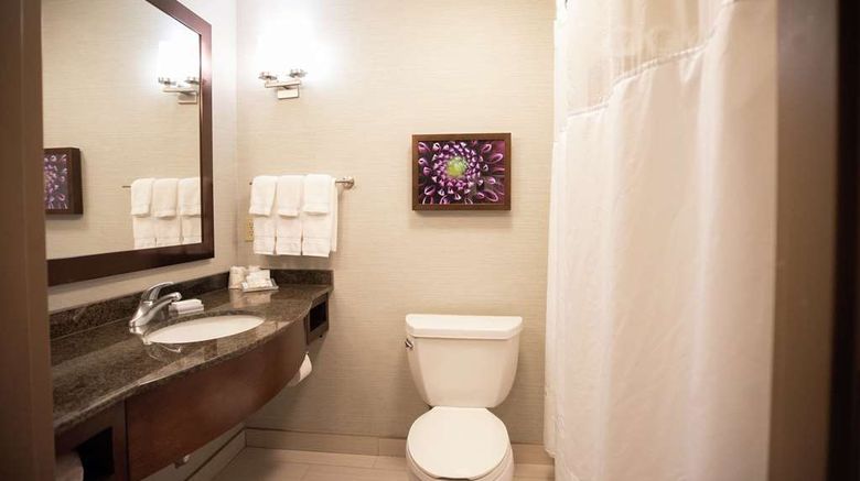 <b>Hilton Garden Inn Covington/Mandeville Room</b>. Images powered by <a href="https://iceportal.shijigroup.com/" title="IcePortal" target="_blank">IcePortal</a>.