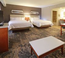 Hampton Inn by Hilton Chihuahua City Room