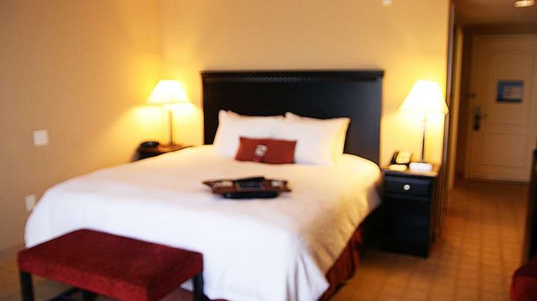 <b>Hampton Inn Dade City-Zephyrhills Room</b>. Images powered by <a href="https://iceportal.shijigroup.com/" title="IcePortal" target="_blank">IcePortal</a>.