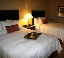 Hampton Inn Dade City-Zephyrhills Room