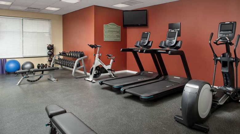 <b>Hilton Garden Inn Dallas/Duncanville Health</b>. Images powered by <a href="https://iceportal.shijigroup.com/" title="IcePortal" target="_blank">IcePortal</a>.