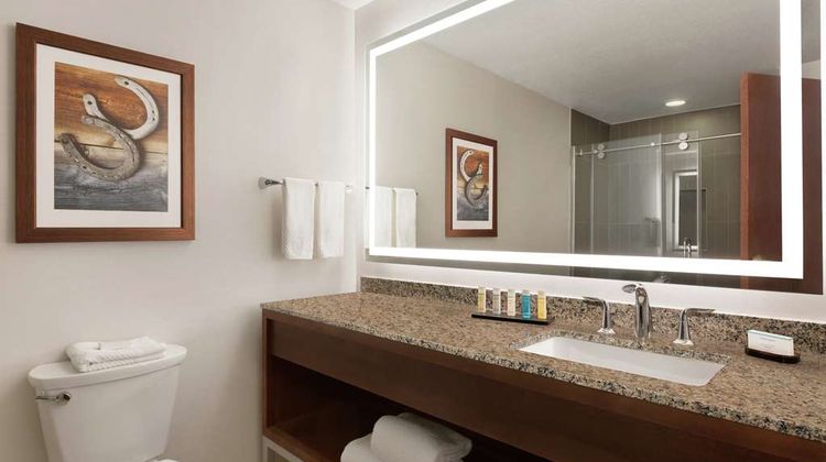 Embassy Suites Dallas DFW Airport North Room