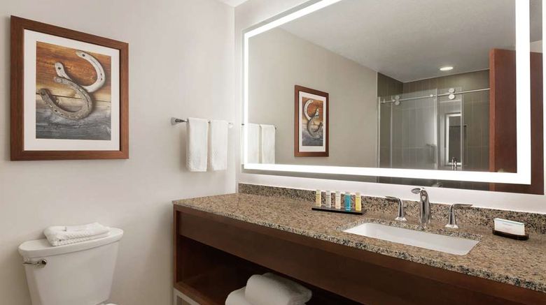 <b>Embassy Suites Dallas DFW Airport North Room</b>. Images powered by <a href="https://iceportal.shijigroup.com/" title="IcePortal" target="_blank">IcePortal</a>.