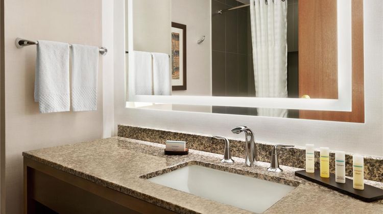 Embassy Suites Dallas DFW Airport North Room