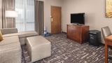 Embassy Suites Hotel Dallas-Frisco Other