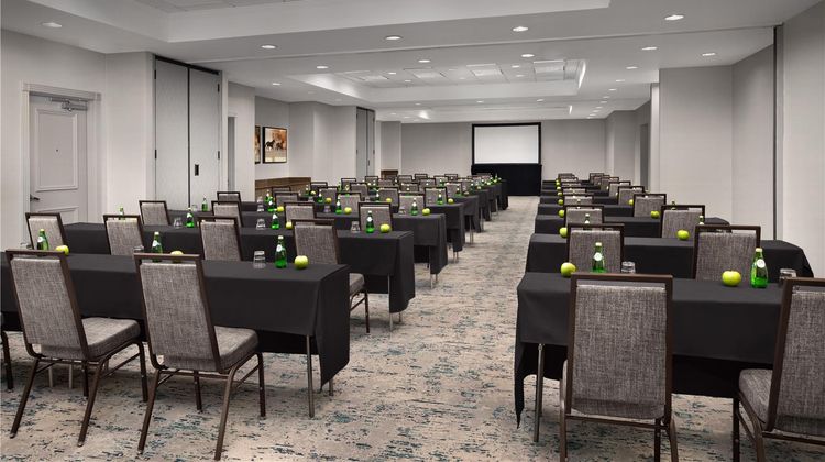 Hilton Garden Inn Dallas Lewisville Meeting