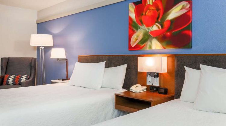 Hilton Garden Inn Dallas Market Center Room