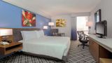 <b>Hilton Garden Inn Dallas Market Center Room</b>. Images powered by <a href="https://iceportal.shijigroup.com/" title="IcePortal" target="_blank">IcePortal</a>.