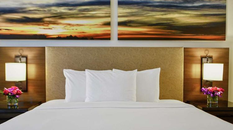 Hilton Dallas Park Cities Room