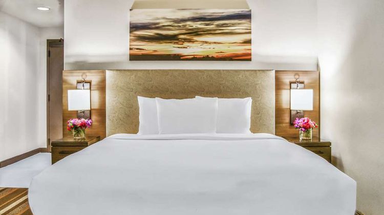 Hilton Dallas Park Cities Room