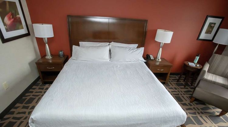 Hilton Garden Inn Dayton-Austin Landing Room