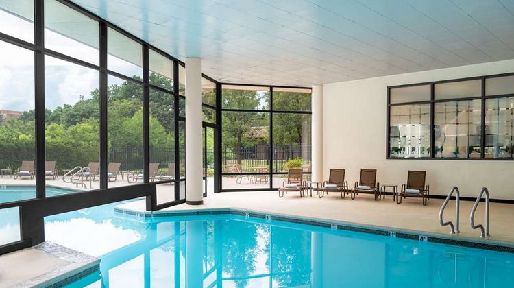Hilton Alexandria Mark Center Pool