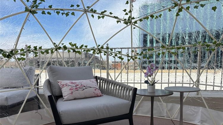 Capital Hilton Room