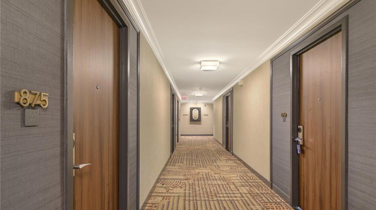 Capital Hilton Other