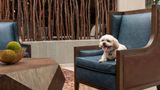 <b>Embassy Suites by Hilton Springfield Other</b>. Images powered by <a href="https://iceportal.shijigroup.com/" title="IcePortal" target="_blank">IcePortal</a>.
