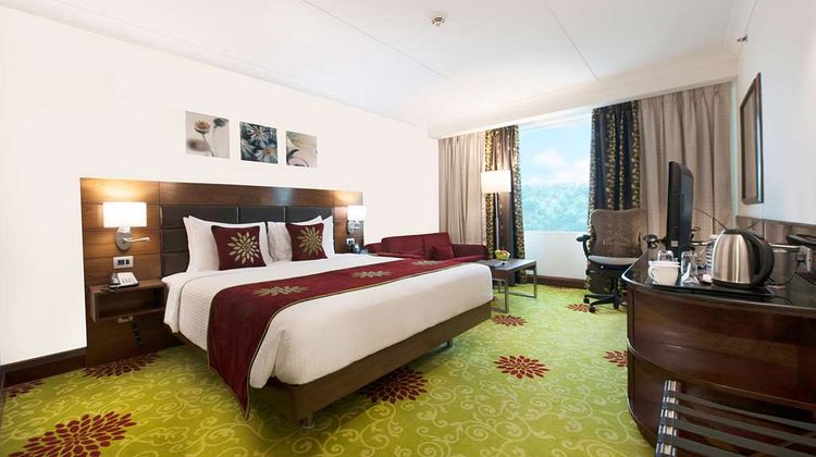 Hilton Garden Inn New Delhi/Saket Room