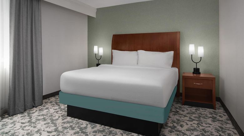<b>Hilton Garden Inn Denver Downtown Room</b>. Images powered by <a href="https://iceportal.shijigroup.com/" title="IcePortal" target="_blank">IcePortal</a>.
