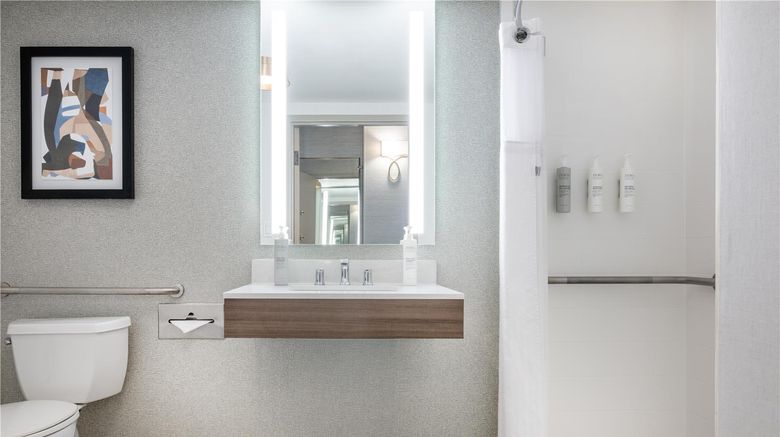 <b>Hilton Garden Inn Denver Tech Center Room</b>. Images powered by <a href="https://iceportal.shijigroup.com/" title="IcePortal" target="_blank">IcePortal</a>.
