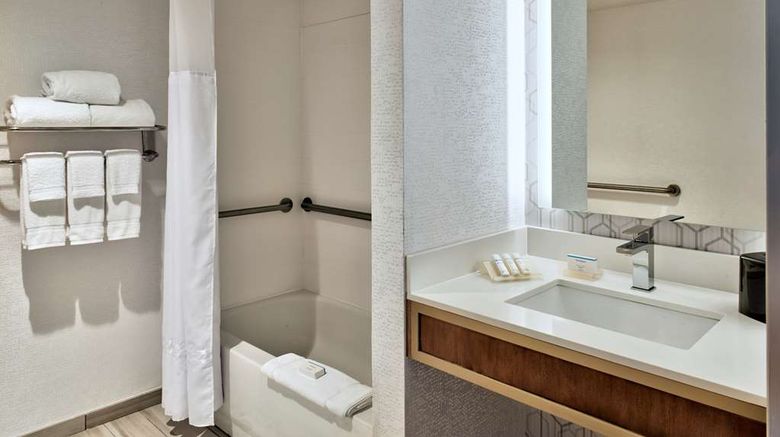 <b>Hilton Garden Inn Detroit Downtown Room</b>. Images powered by <a href="https://iceportal.shijigroup.com/" title="IcePortal" target="_blank">IcePortal</a>.